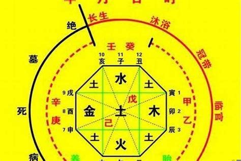 五行喜用神|八字入门基础 第六篇 如何判断八字喜用神